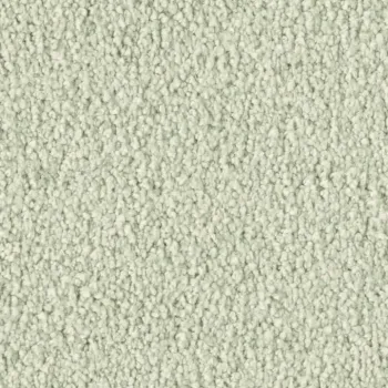 Preview: Vorwerk Violetta 6C95 – Draufsicht Teppichboden Farbe 6C95 ohne Badge